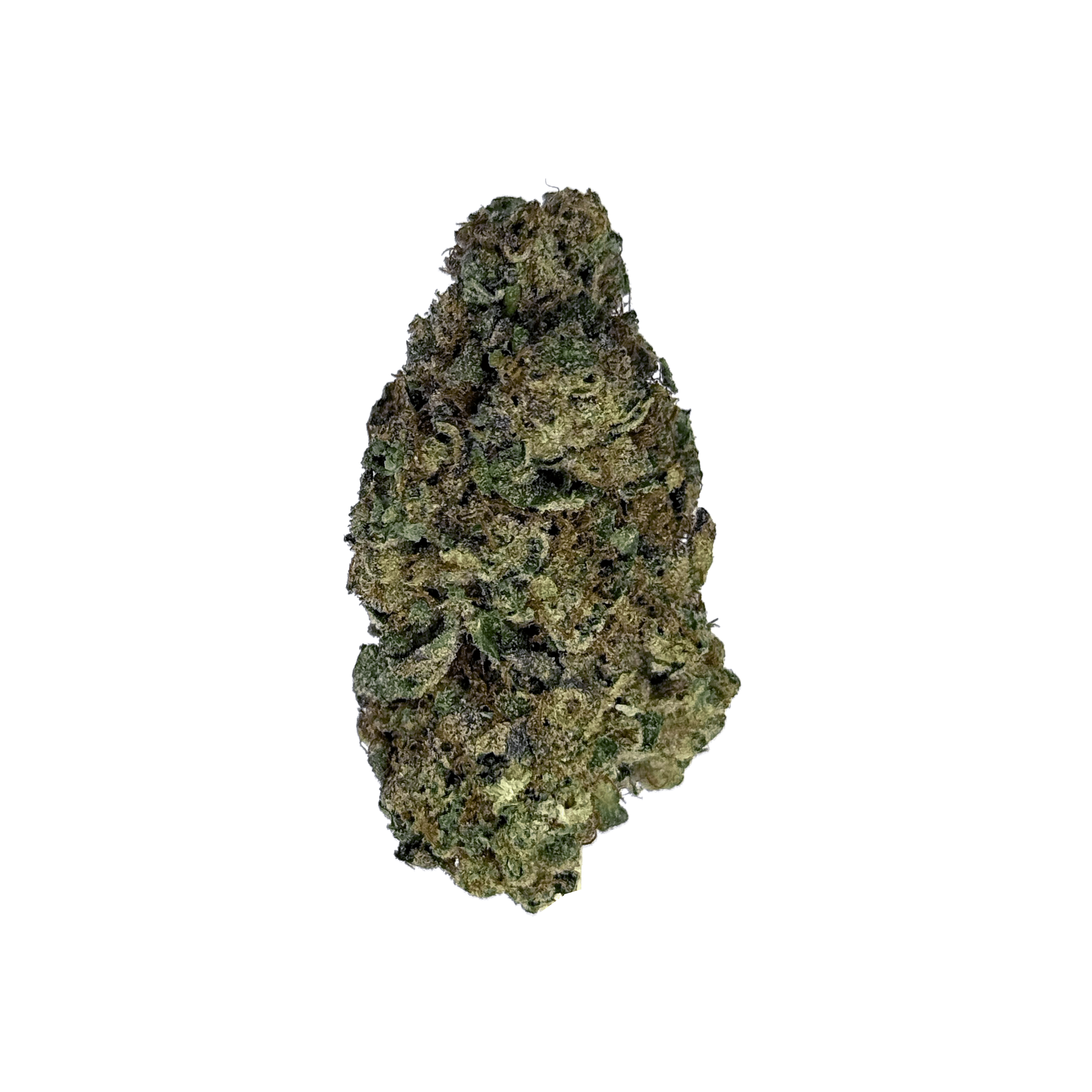 Tropicana Cookies Strain - THCa Flower